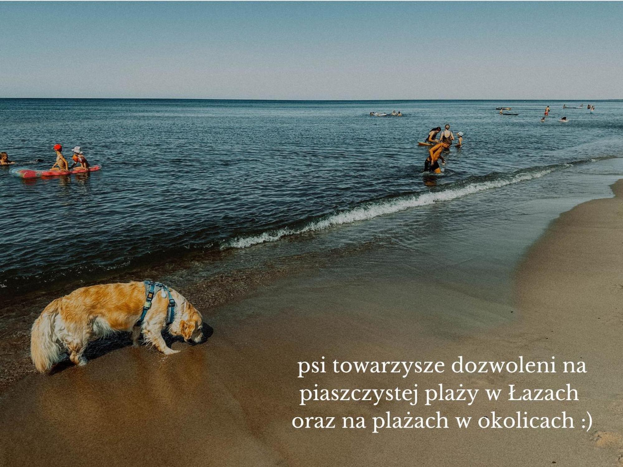 Boho Przystan Łazy Εξωτερικό φωτογραφία